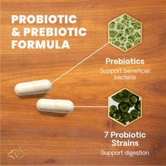 VetriScience Gut Health: cápsula abierta muestra facilidad de uso