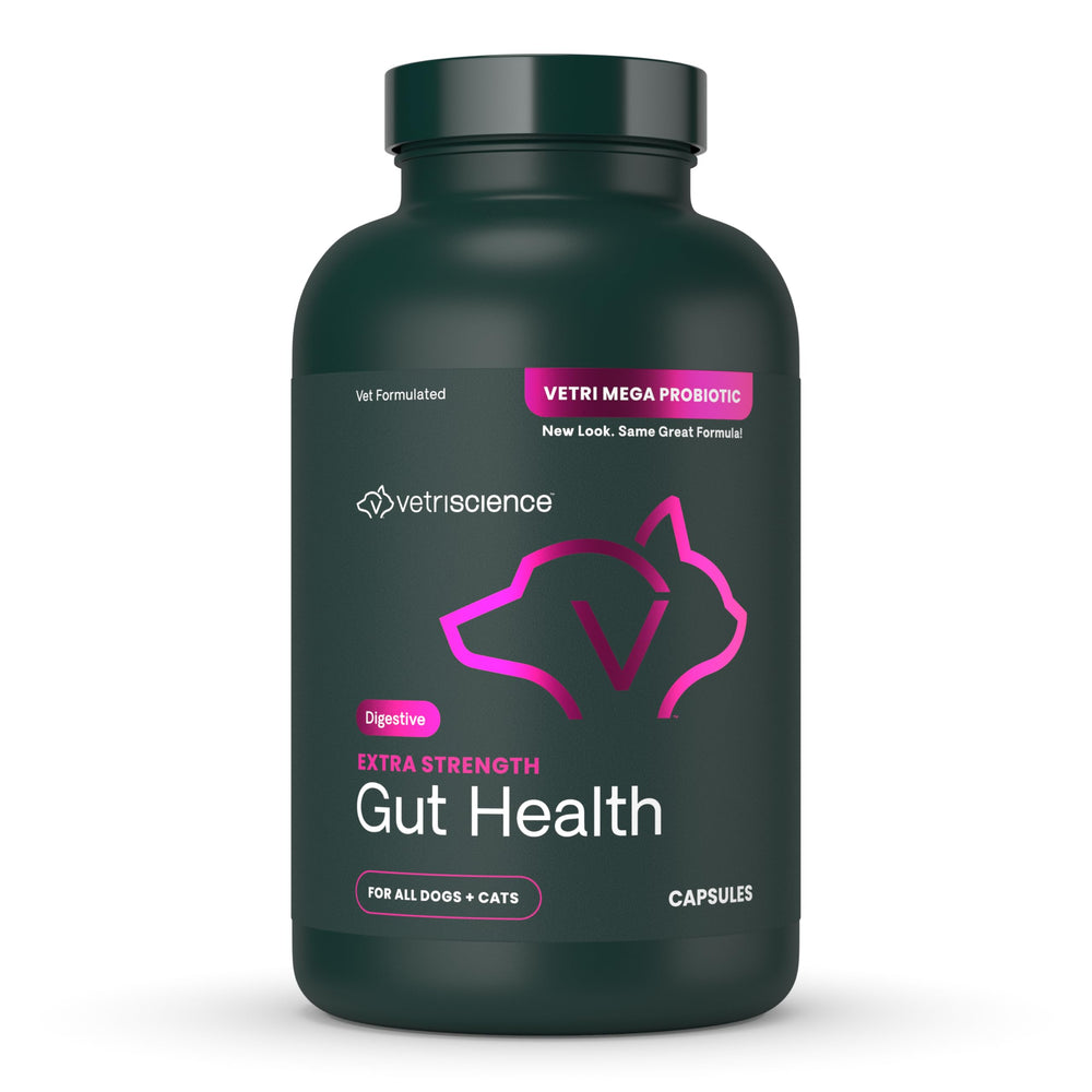 VetriScience Gut Health: cápsulas para apoyo diario digestivo de mascotas
