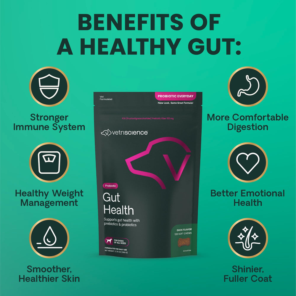 VetriScience Gut Health Chews ingredientes y FOS, apoyo a la salud intestinal.