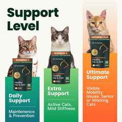 VetriScience masticables suaves para gato, textura agradable para uso diario