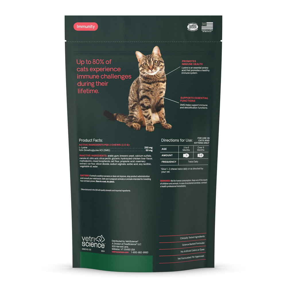 Gato con VETRISCIENCE Lisina Inmunidad Salud, gomitas que favorecen el bienestar general.