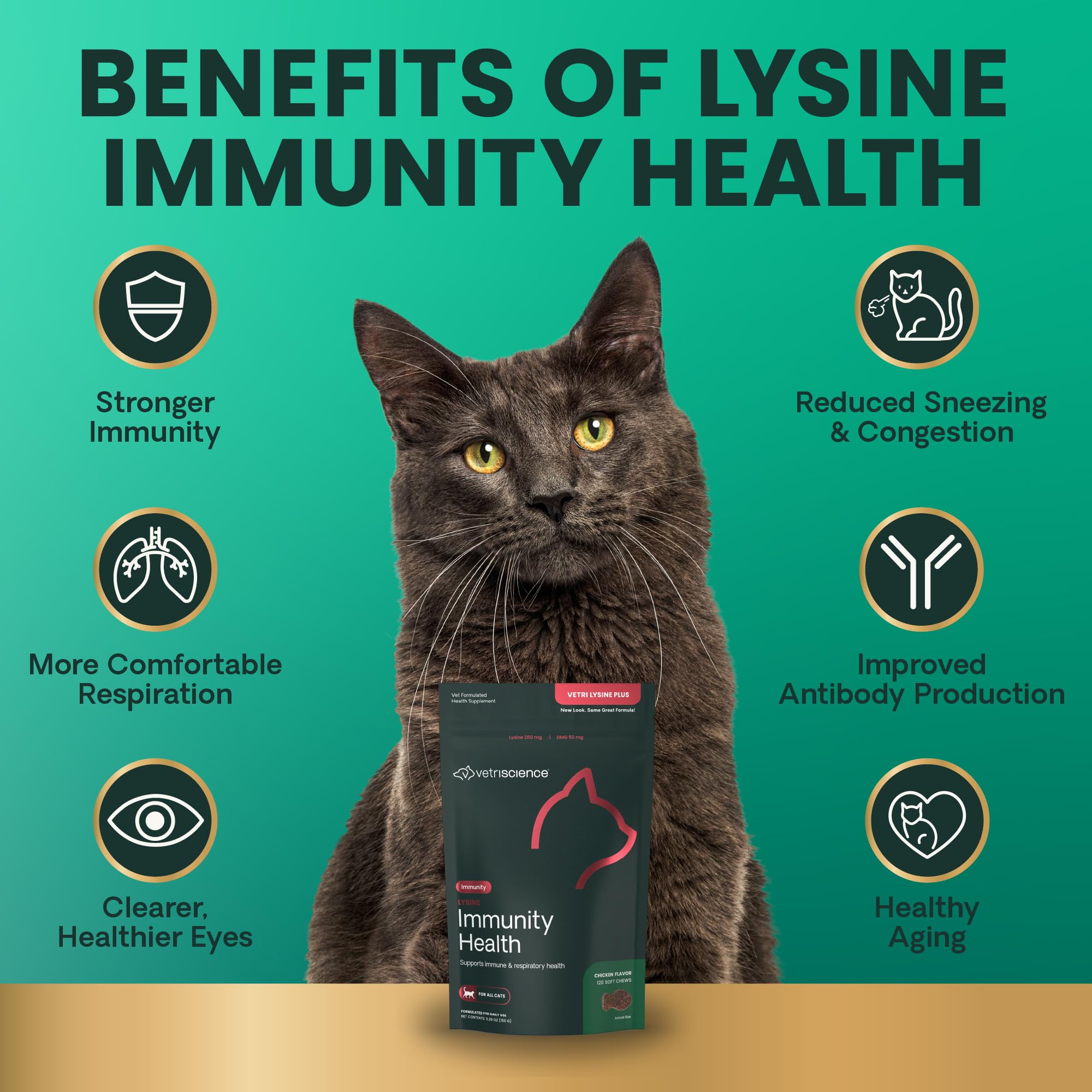 VETRISCIENCE Lisina Inmunidad Salud, enfoque en DMG y lisina para apoyo inmunitario.