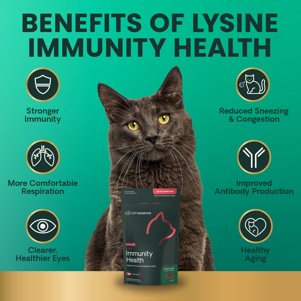 VETRISCIENCE Lisina Inmunidad Salud, enfoque en DMG y lisina para apoyo inmunitario.