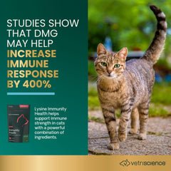 Gomitas con sabor a pollo de VetriScience Lysine Immunity Health para gatos.