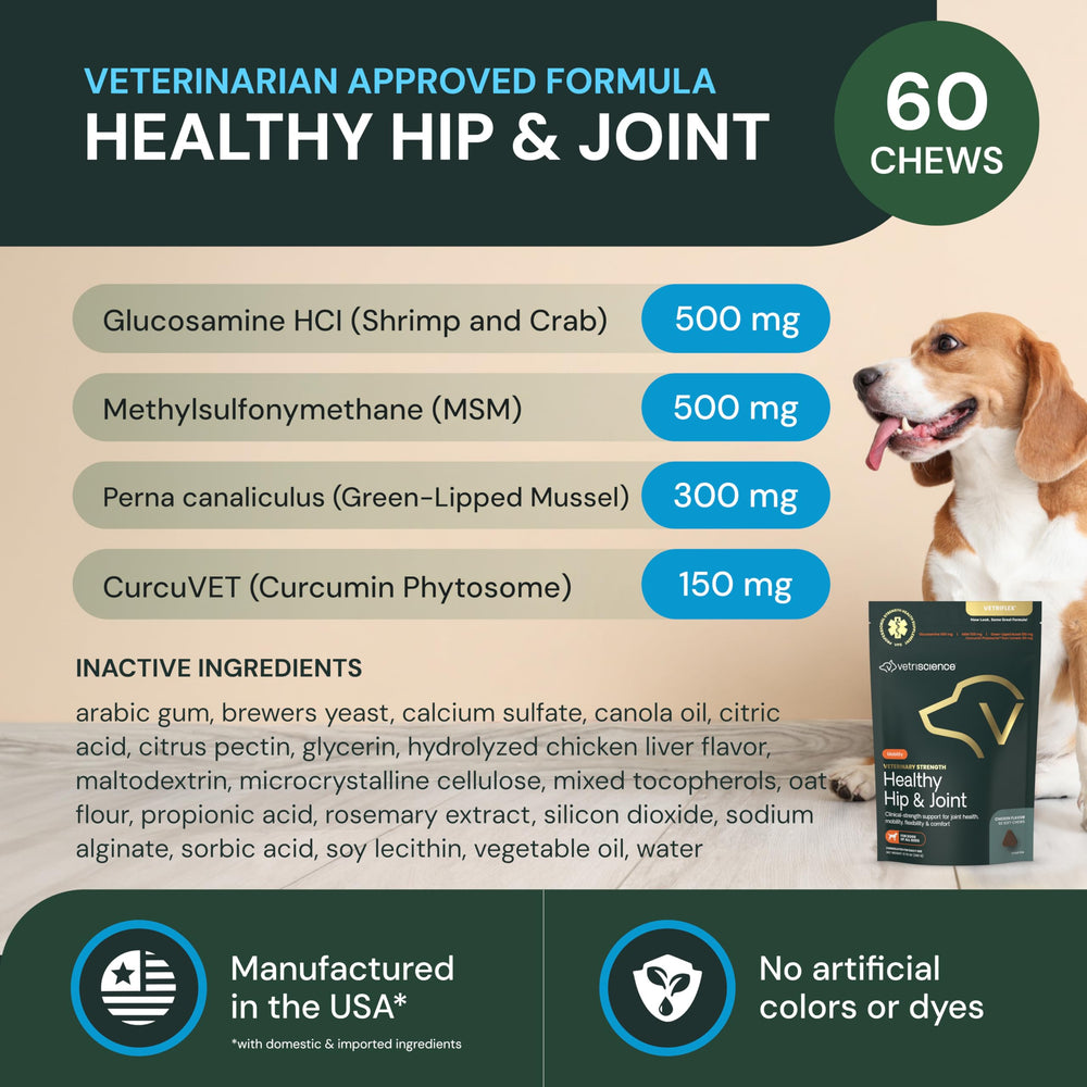 VETRISCIENCE masticables perro en movimiento: posibilidad de mejor movilidad al caminar