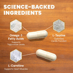 VetriScience Omega Healthy Heart contiene taurina omega-3 y CoQ10 para energia y soporte cardiaco.