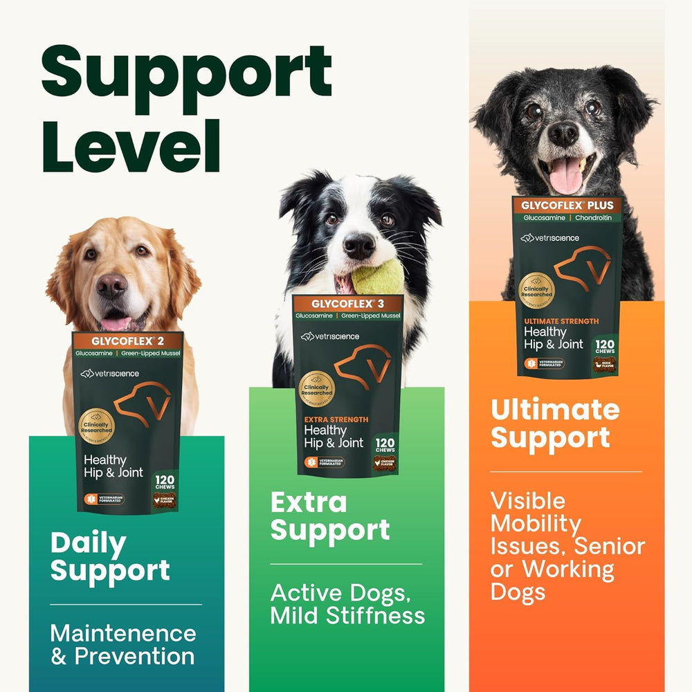 Perro disfruta del sabor pollo, útil para administrar el suplemento.