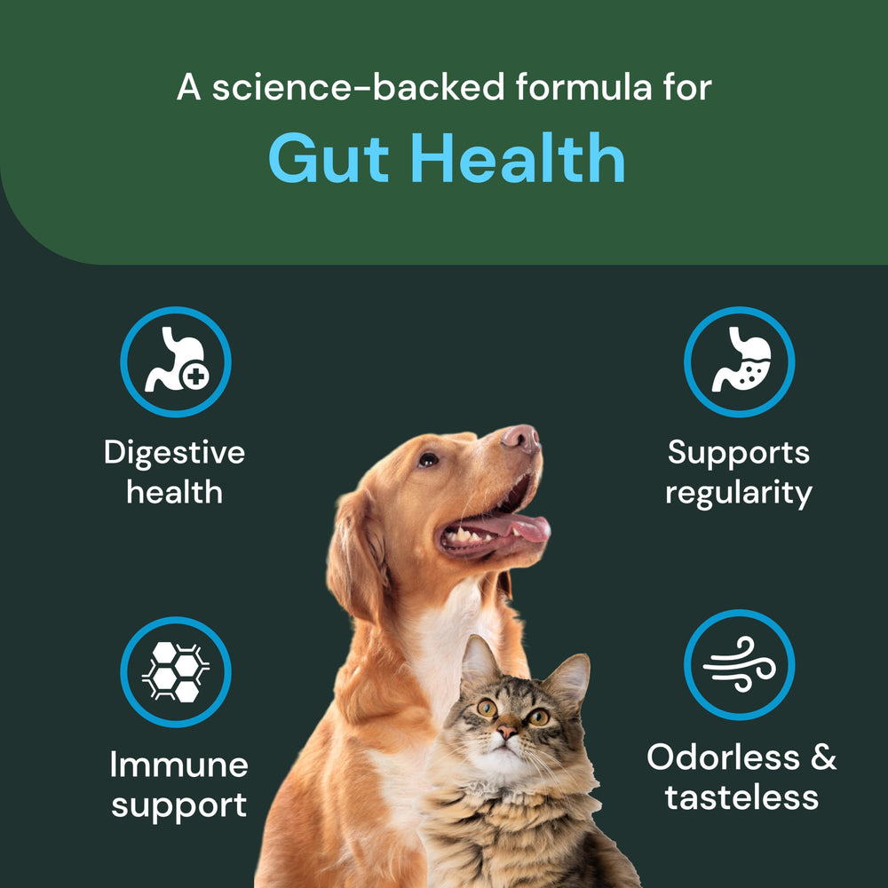 VetriScience polvo para mezclar en la comida de perros y gatos.