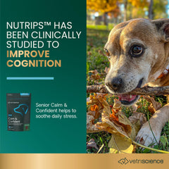 VETRISCIENCE Senior Calm & Confident, textura suave, facilita la masticación en perros mayores.
