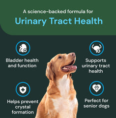 D‑Manosa en UT Health Chews para apoyar el tracto urinario.