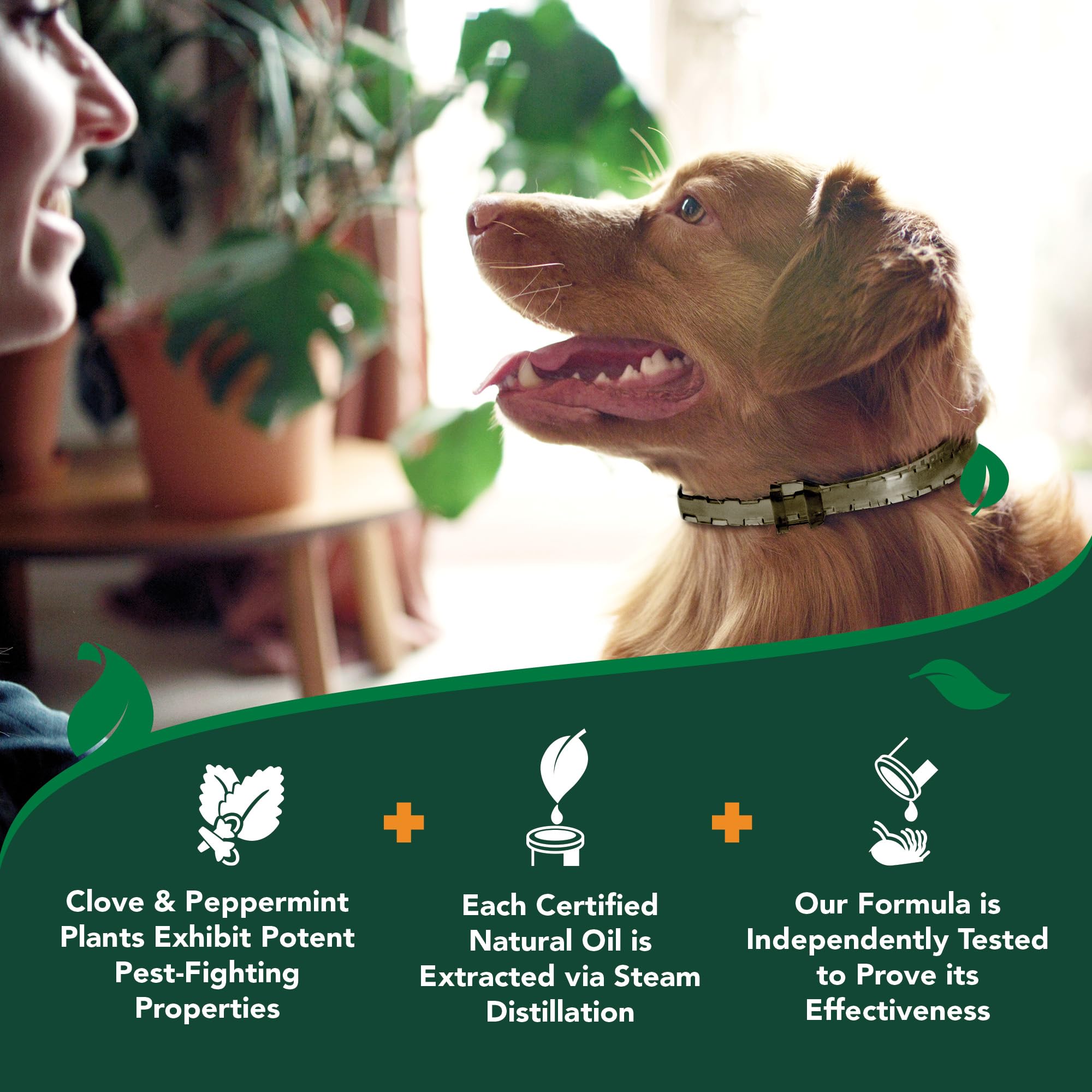 Etiqueta de ingredientes naturales y seguridad en Vet's Best collar