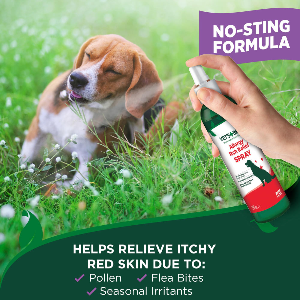 Protección de la piel de tu perro como parte de un sistema Vet's Best.