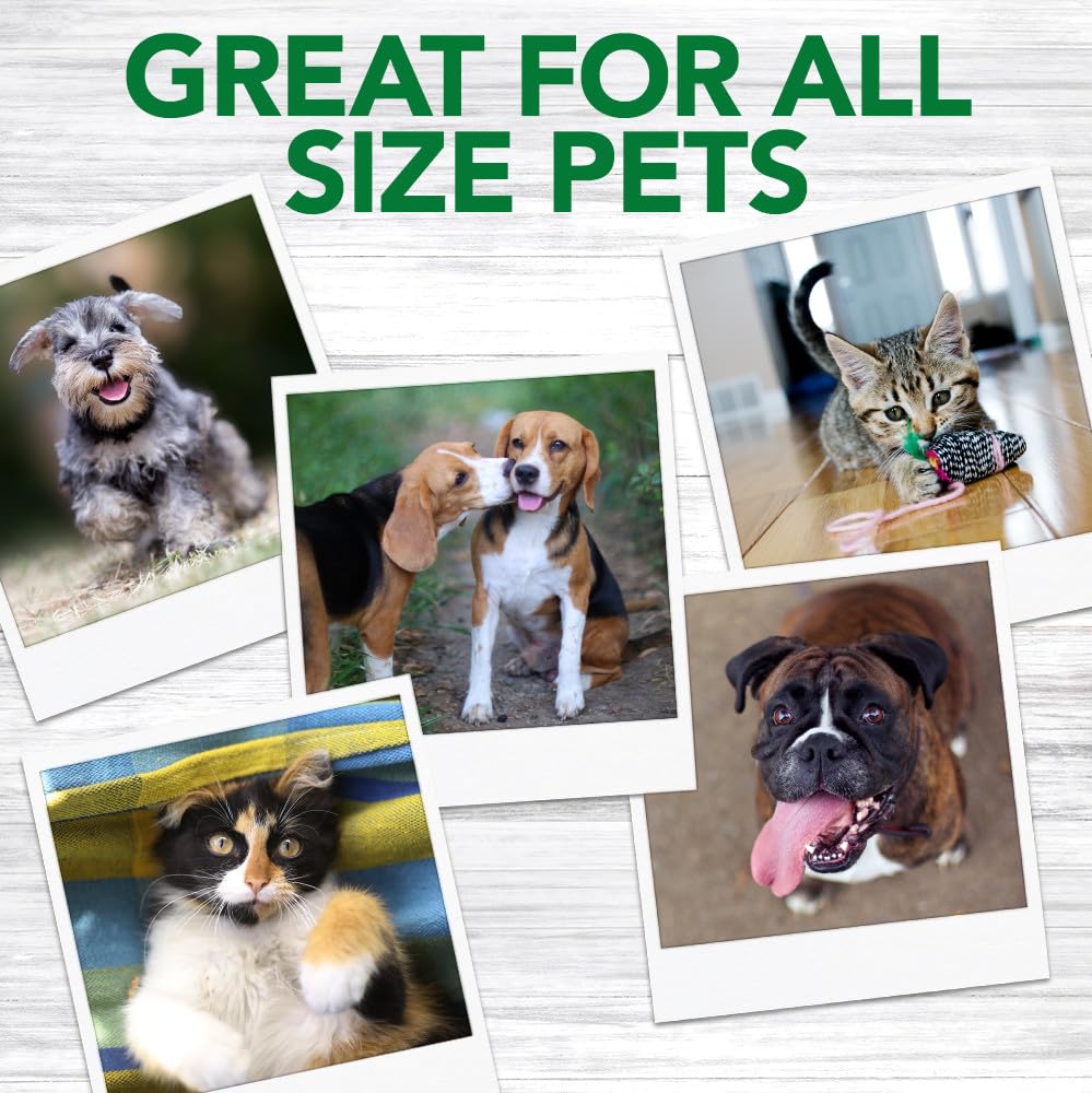 Vet's Best kit dental completo para higiene bucal.