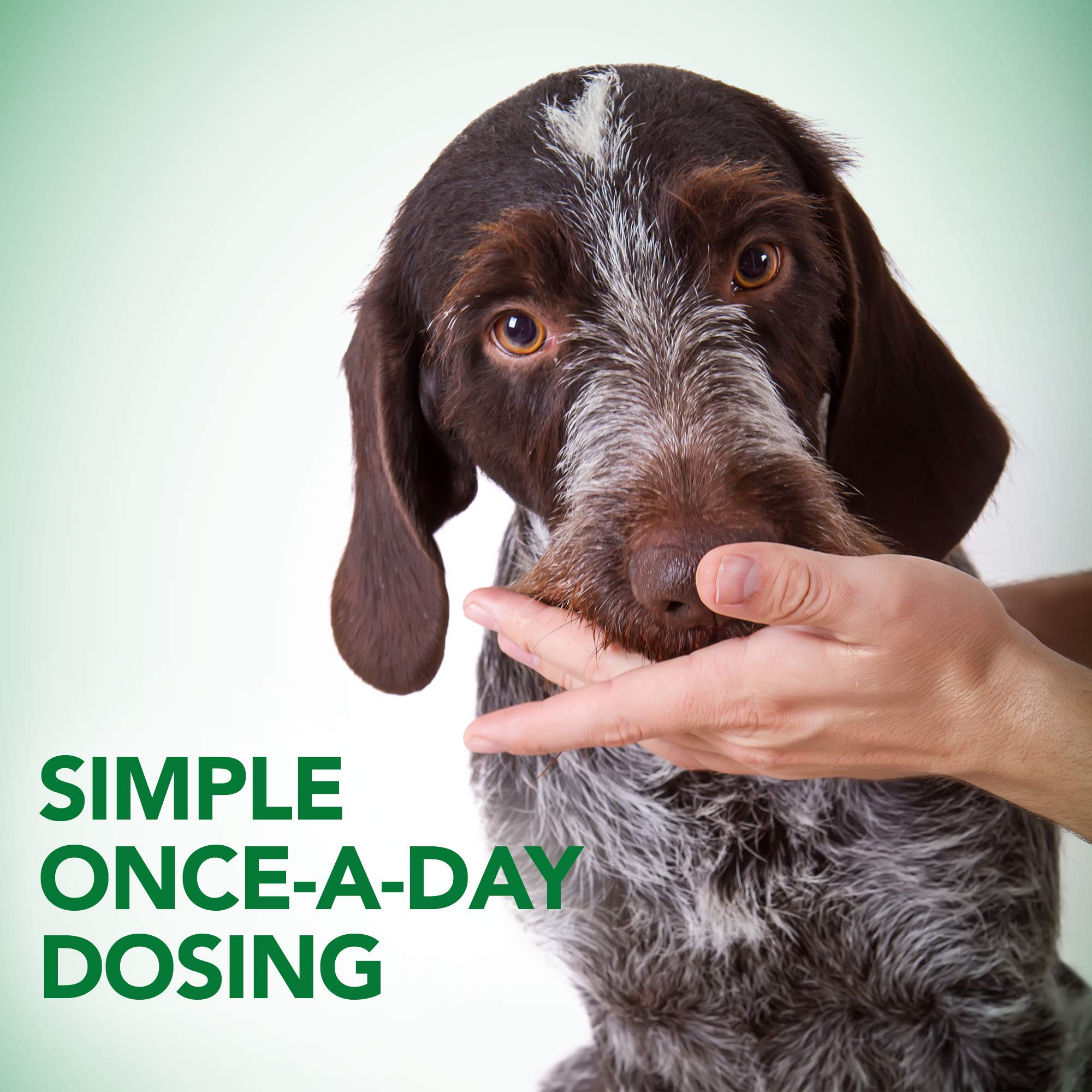 Vet's Best Probiotic Soft Chews con alga kelp marina para apoyo digestivo.