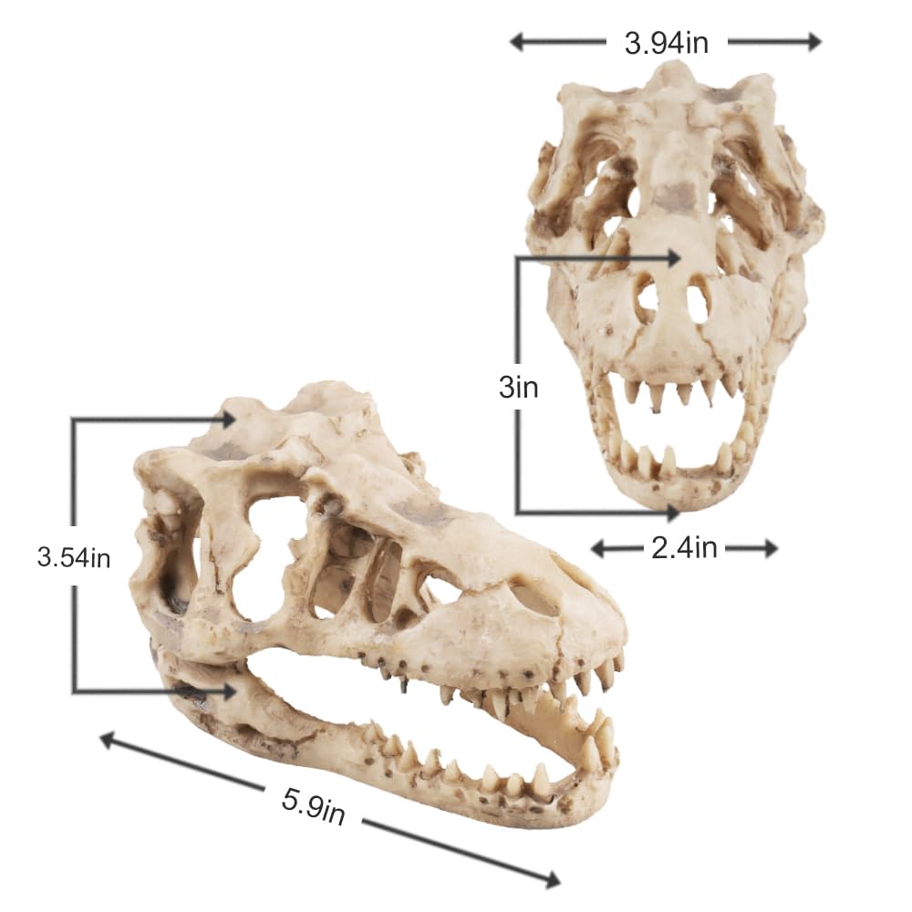 VibeNest decoración acuario dino, hábitat con forma natural