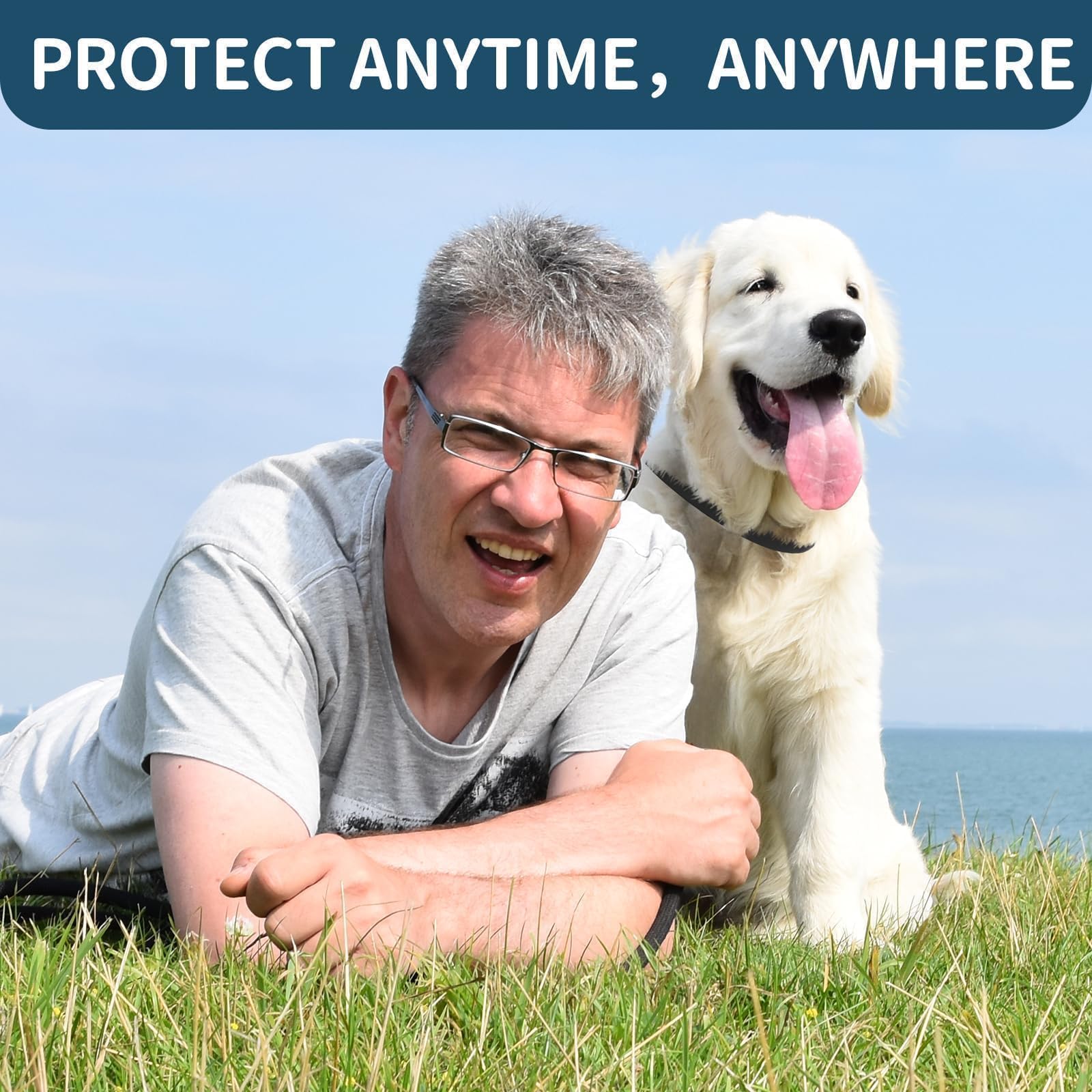 Protección para cachorros y perros grandes con VICSOM.