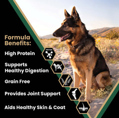 VICTOR croquetas de alta proteína para perros activos, soporte diario de energía.
