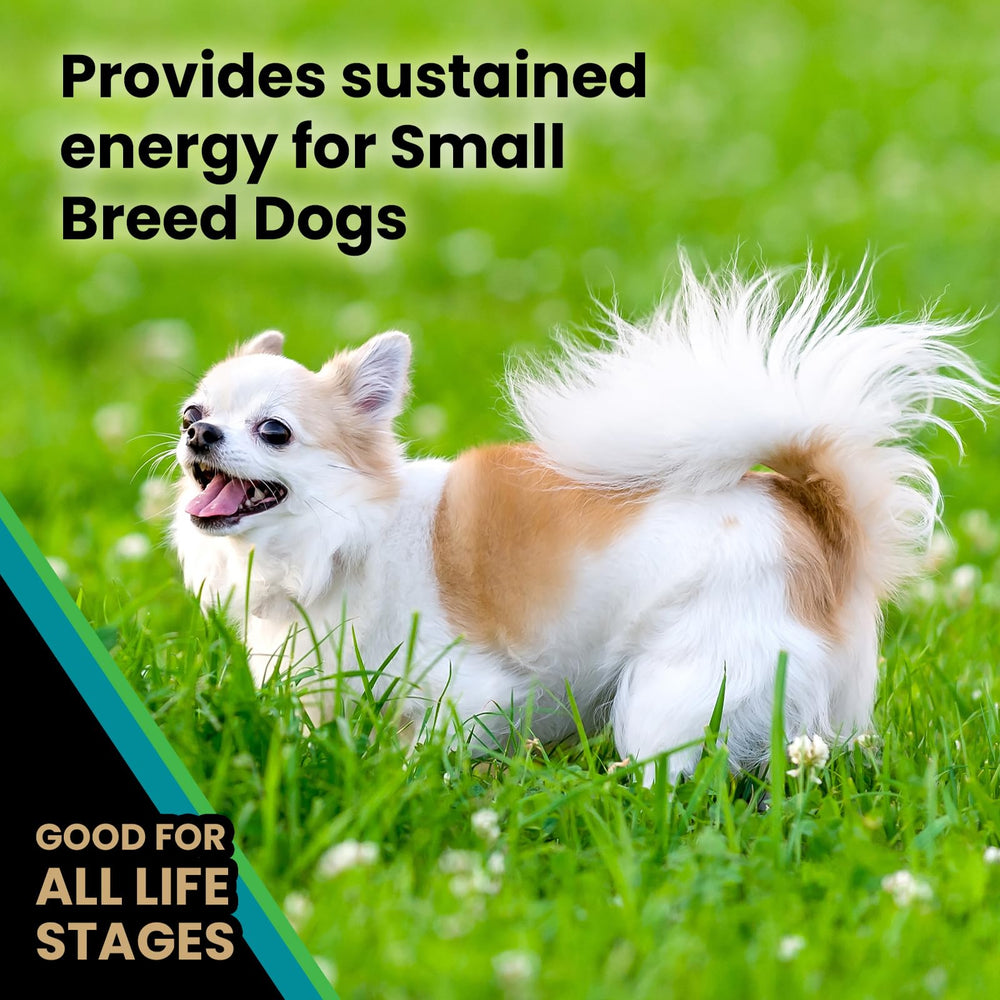 Prebióticos y probióticos para una digestión saludable