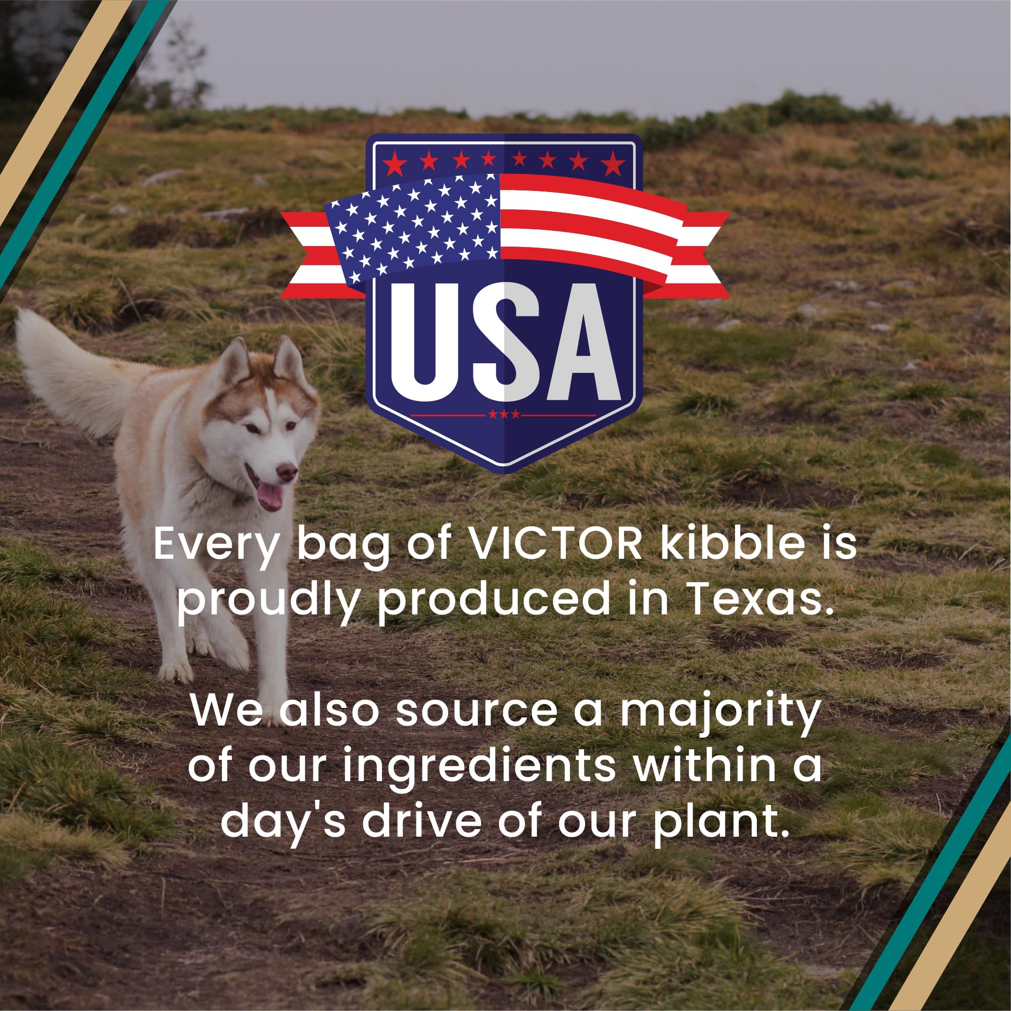 VICTOR Hi-Pro Plus energía sostenida, imagen de comida para perros activos.