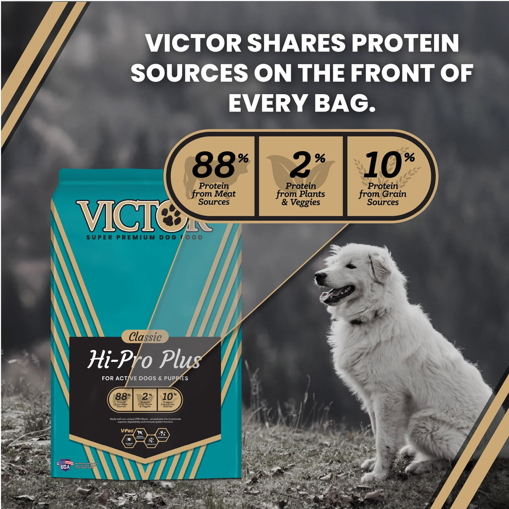 VICTOR Hi-Pro Plus mezcla de carnes, sabor premium para crías y adultos.