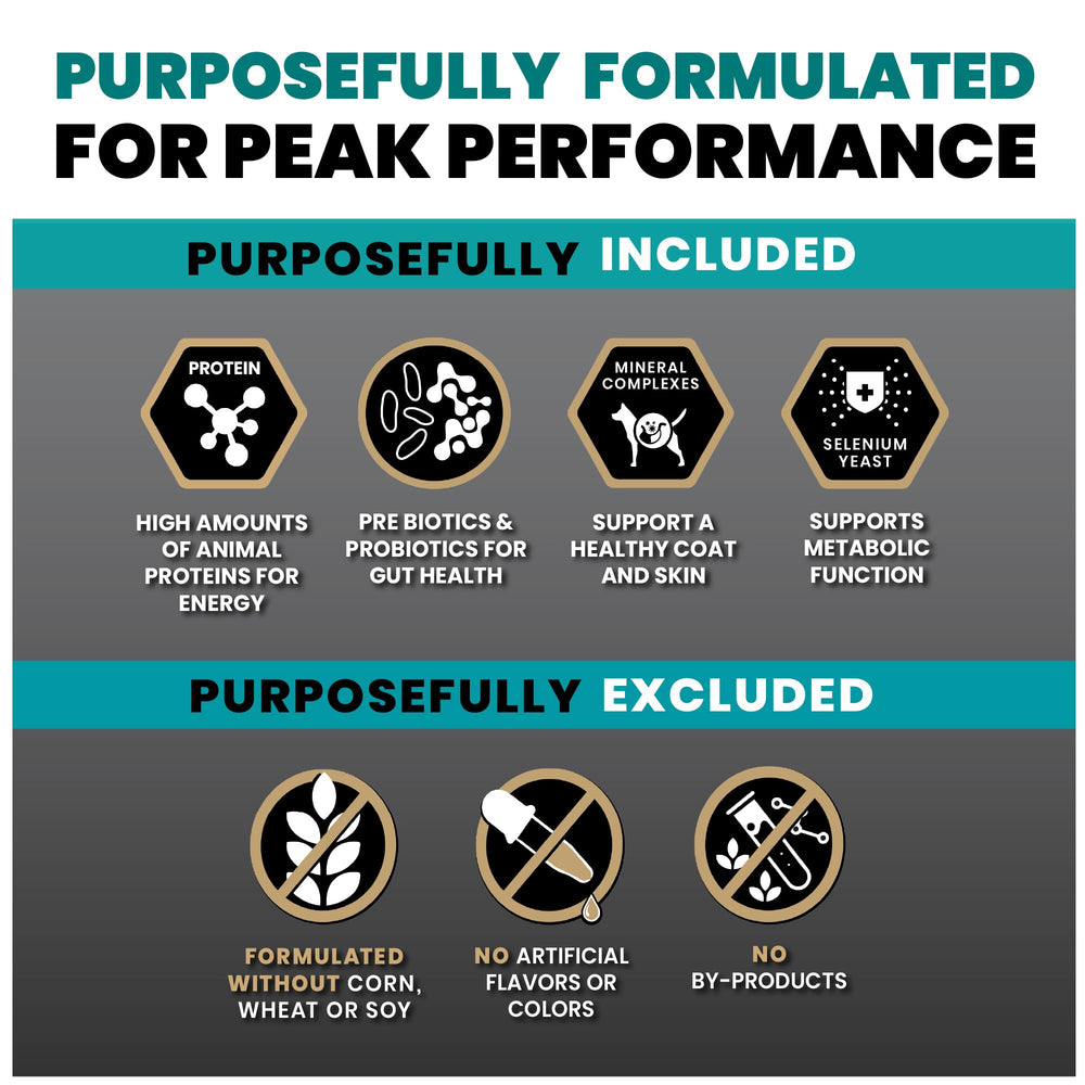 VICTOR Hi-Pro Plus sin gluten, opción digerible para perros sensibles.