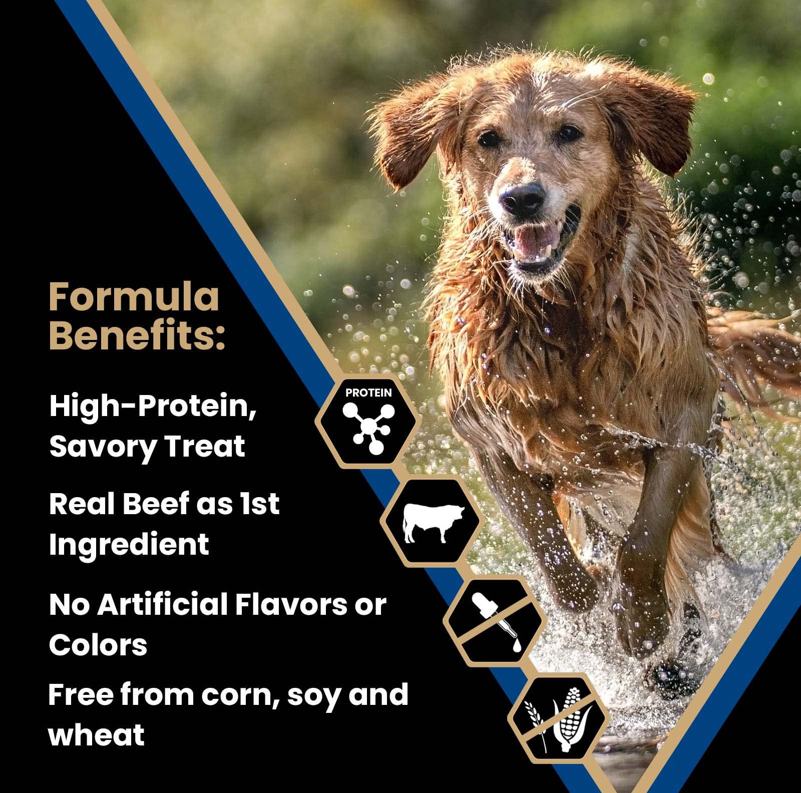 20% de proteína para perros activos y con alto requerimiento.