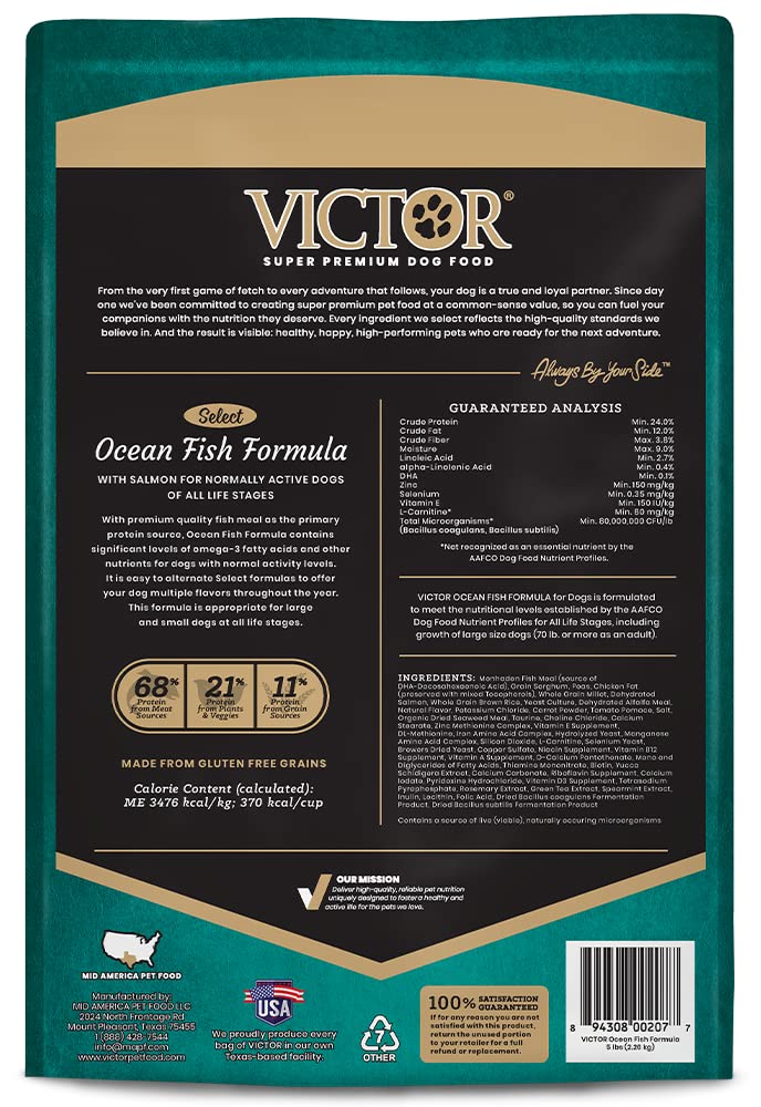VICTOR: ingredientes sin gluten con salmón para una dieta equilibrada.