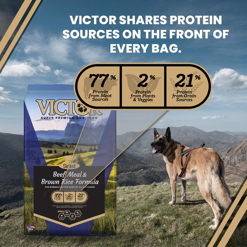 VICTOR Select mezcla VPRO para apoyar piel y pelaje saludables.