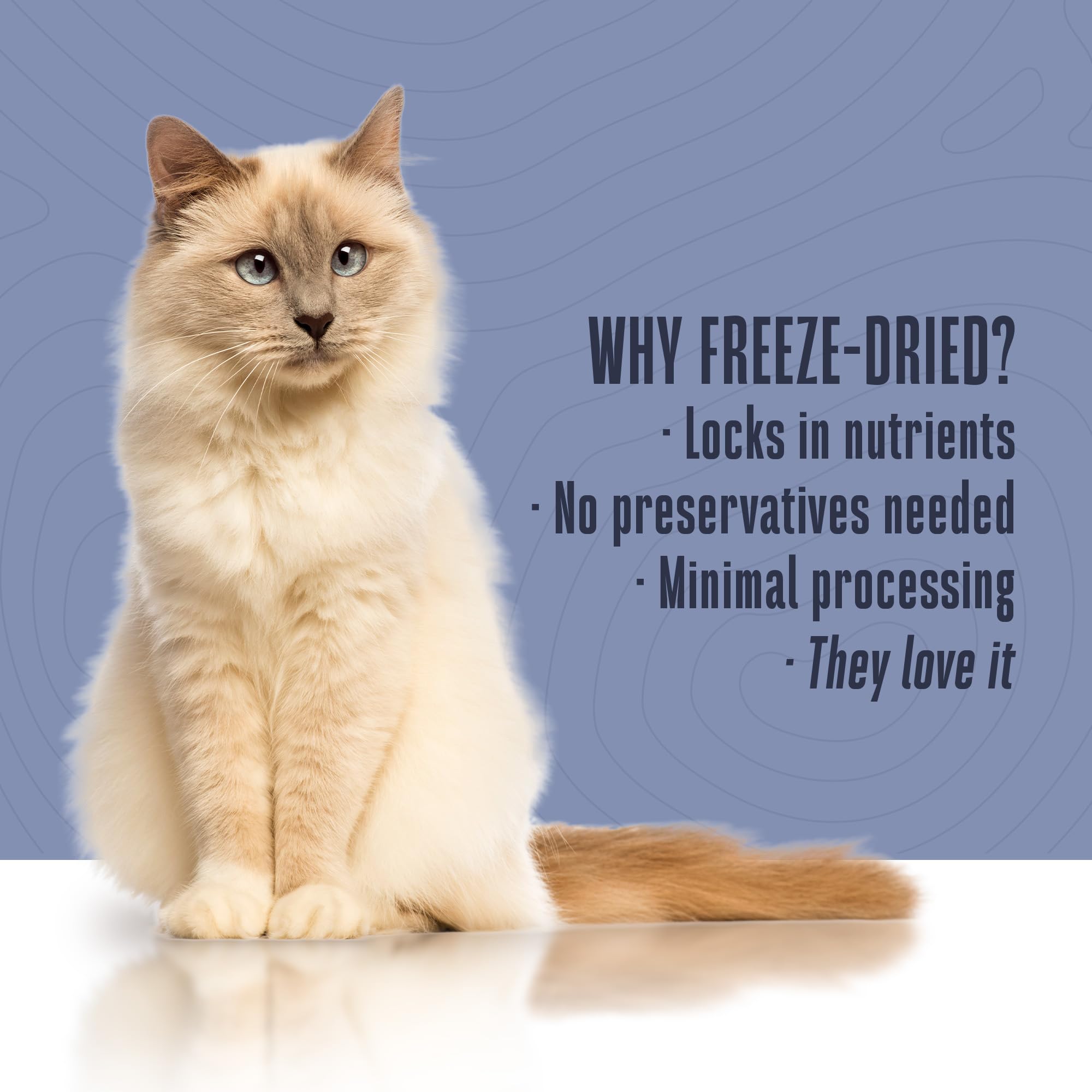 Vida Plena para Mascotas: sabor natural y sin conservantes para gatos