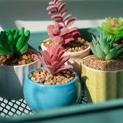 VINICS grava para plantas en macetas, aporta textura y drenaje