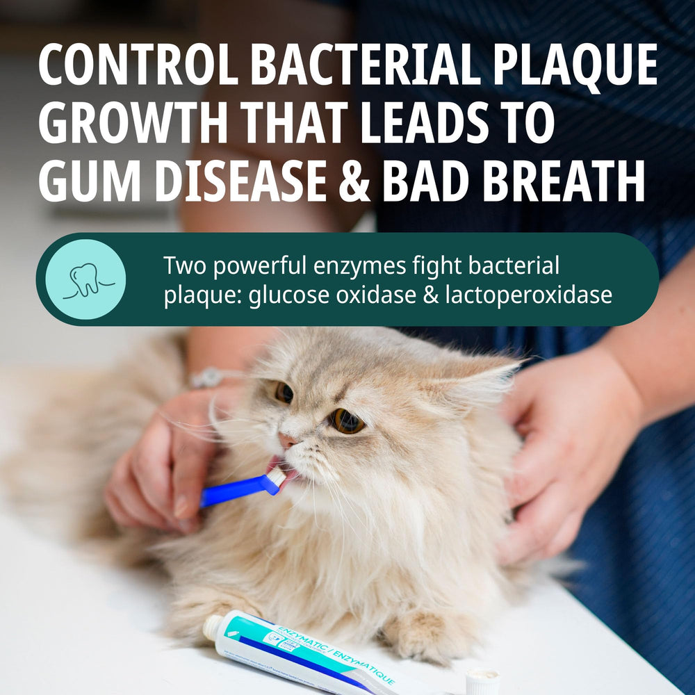 Virbac C.E.T. enzymatic poultry-flavored toothpaste safe if swallowed.