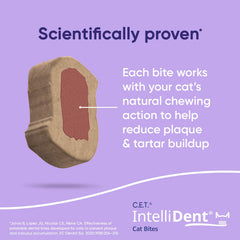 Présentation des trois bouchées par jour pour simplifier la routine dentaire.