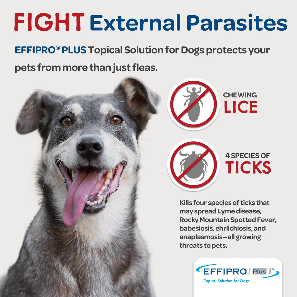 Virbac EFFIPRO PLUS, controla pulgas y garrapatas en perros medianos