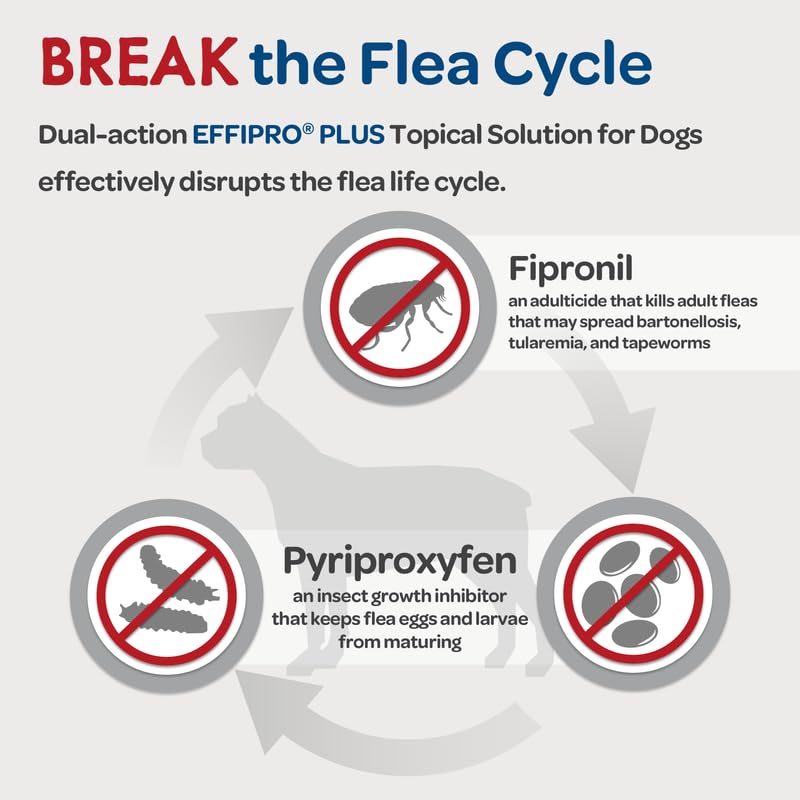Uso exterior de Virbac EFFIPRO PLUS en perros con pelo largo.