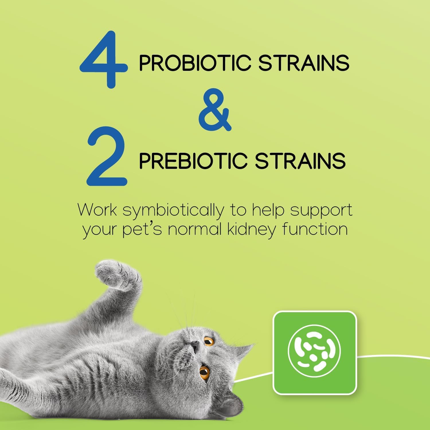 Virbac NEPHRODYL etiqueta: información clara del producto para el dueño.