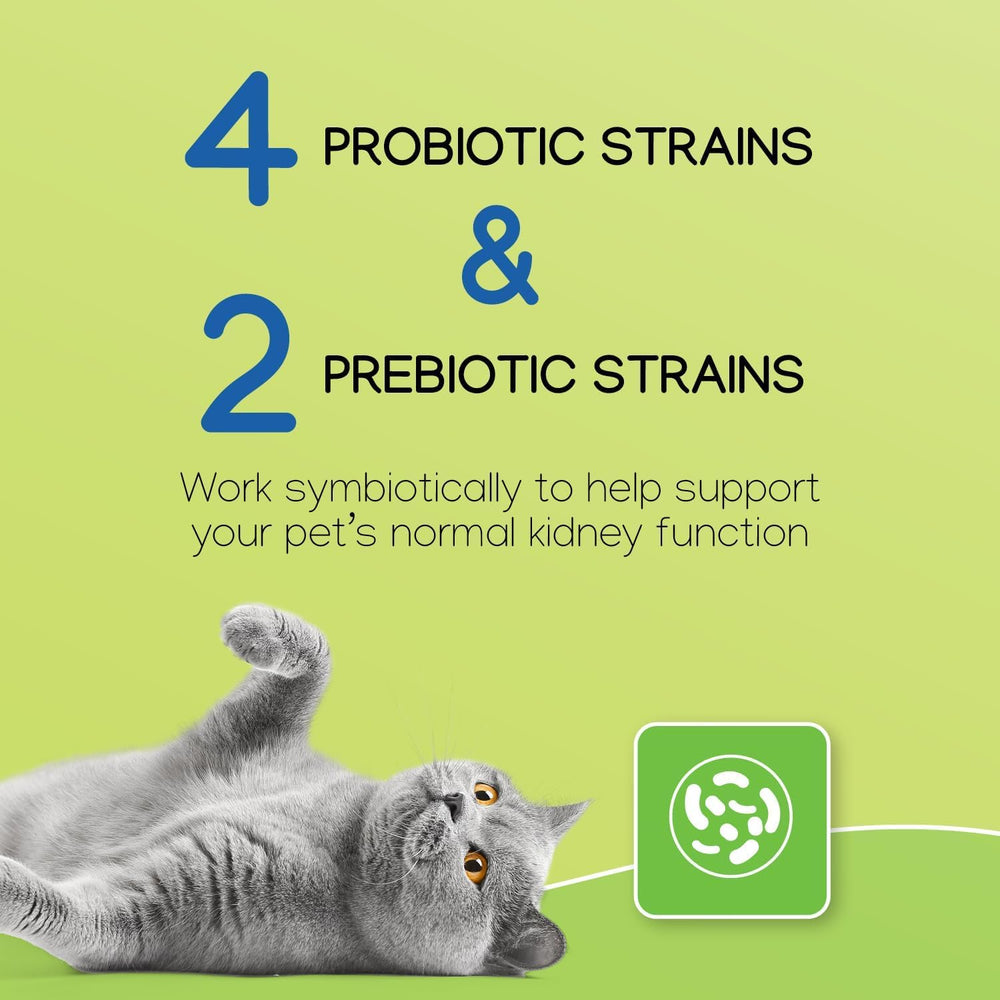 Virbac NEPHRODYL etiqueta: información clara del producto para el dueño.
