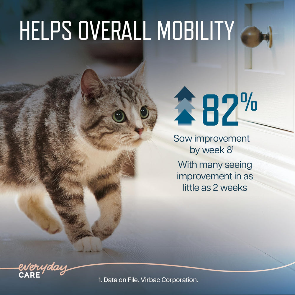 Virbac URSOLYX ayuda a que el gato mayor siga activo.