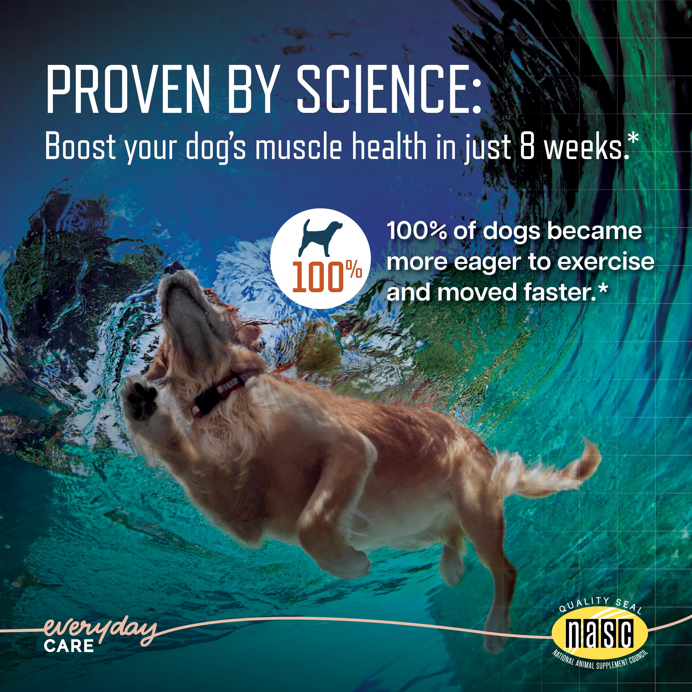 Virbac URSOLYX, perro roiendo masticable suave para comodidad al moverse.