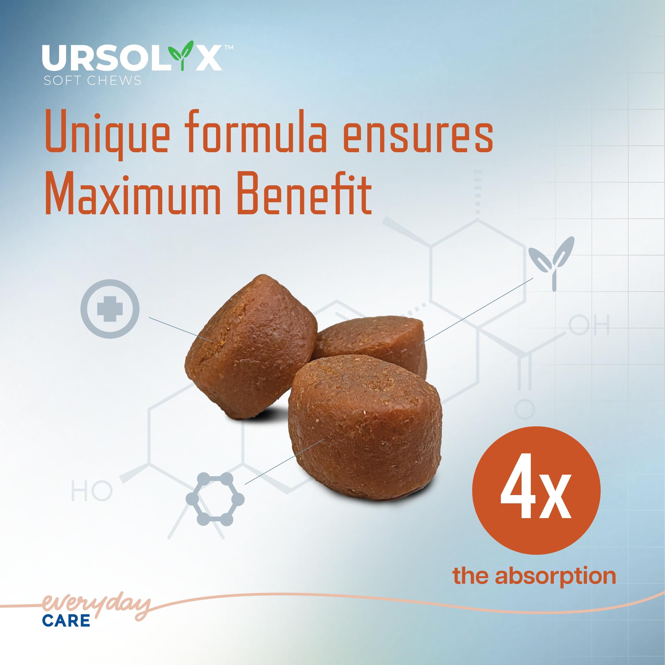 Virbac URSOLYX, masticables suaves para perros senior y activo.