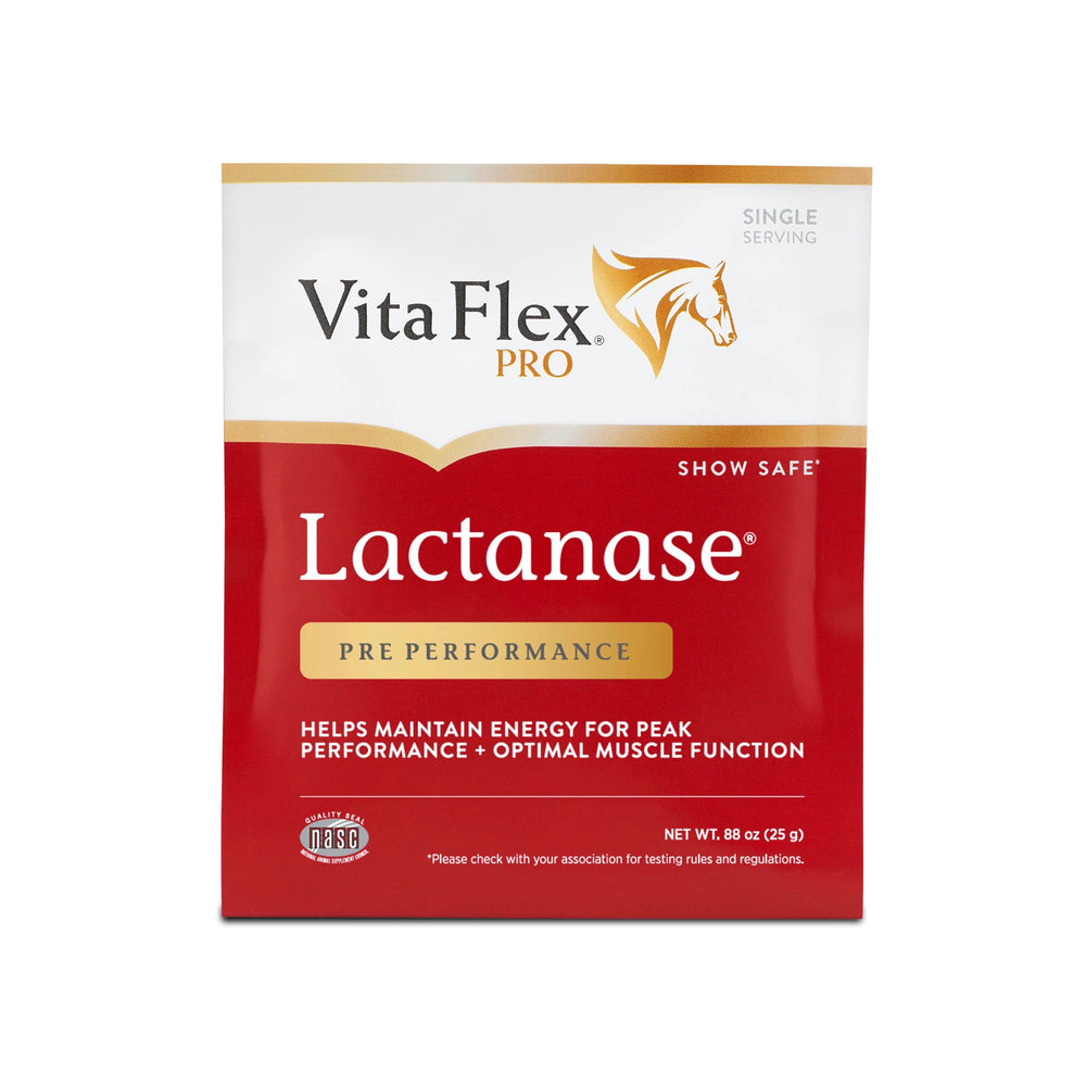 Vita Flex Pro Lactanase Pre-Performance: botella para energía sostenida en caballos