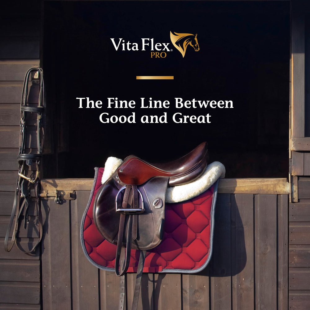 Mezcla en vaso de Vita Flex Pro Lactanase Pre-Performance para entrenamiento