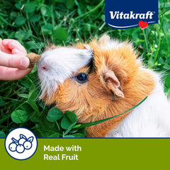 Ingredientes nutritivos de Vitakraft Bursts para una opción sabrosa y equilibrada.