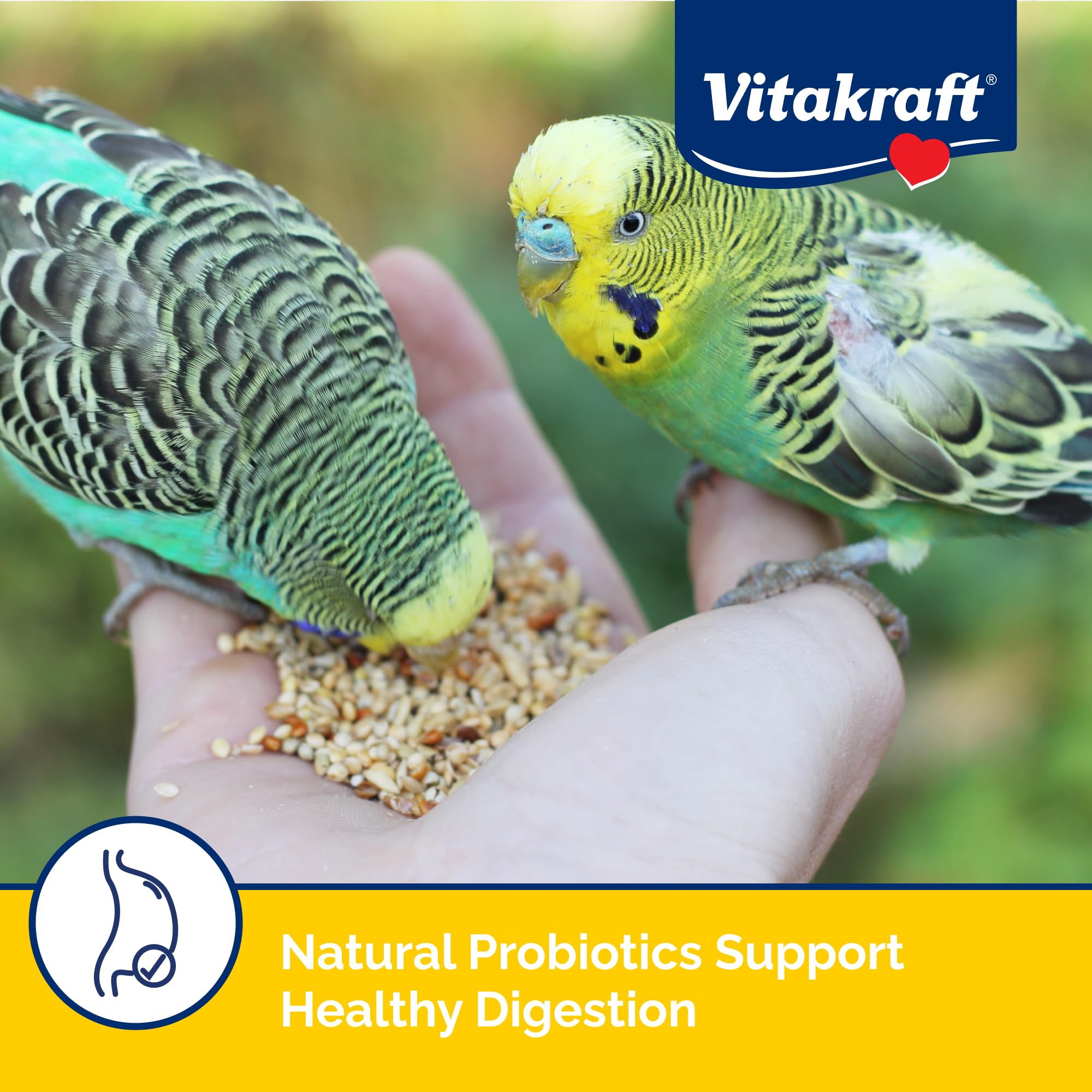 Vitakraft Menu para periquitos: fuente de Omega-3 y Omega-6 para plumaje saludable.