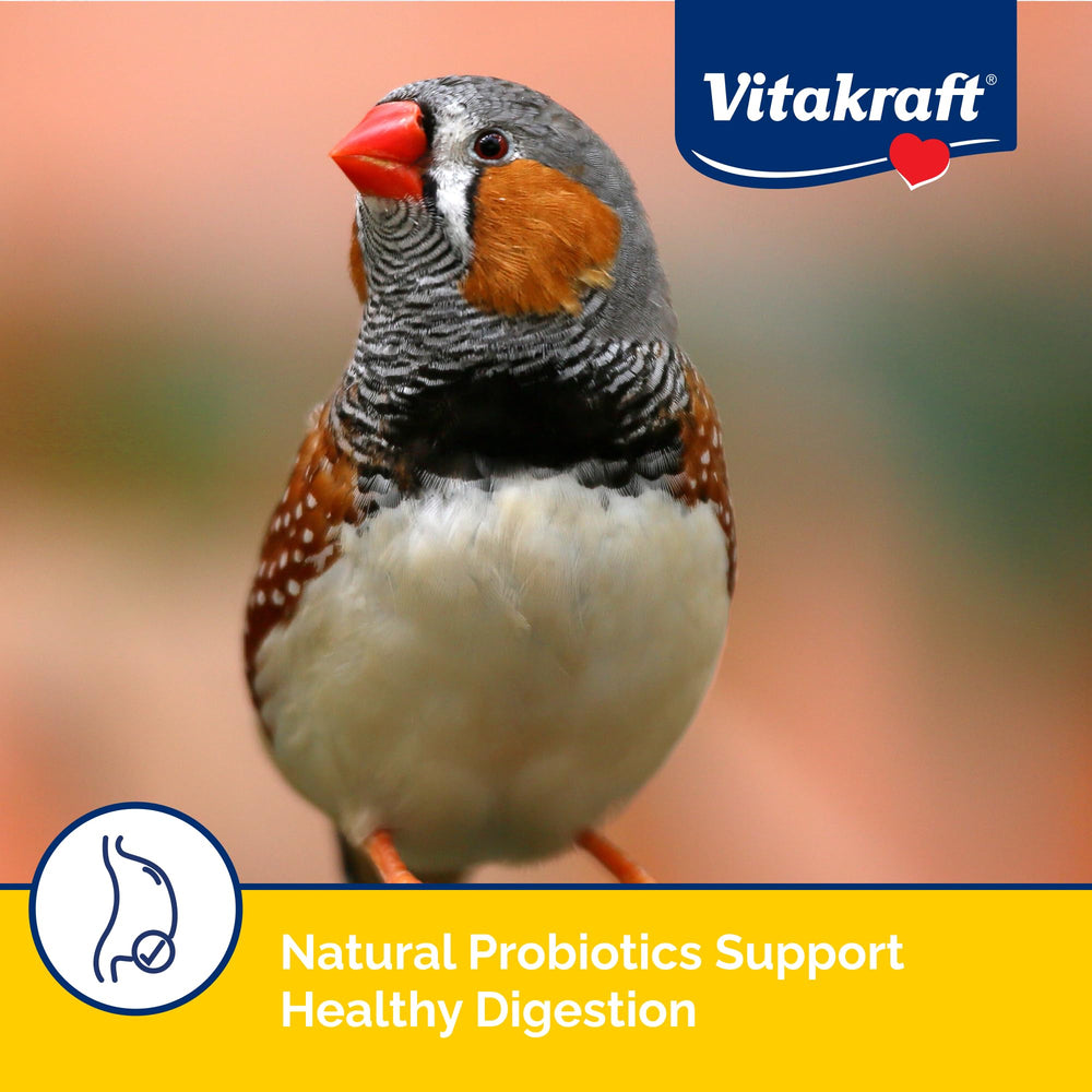Vitakraft Menu Premium, naranja y coco, sabor natural para aves pequeñas.