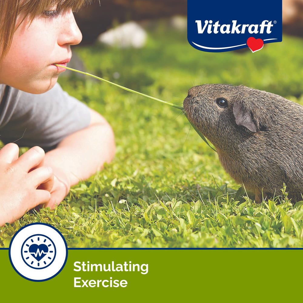 Vitakraft palitos cobaya ofrecen texturas diversas que estimulan la exploración diaria.