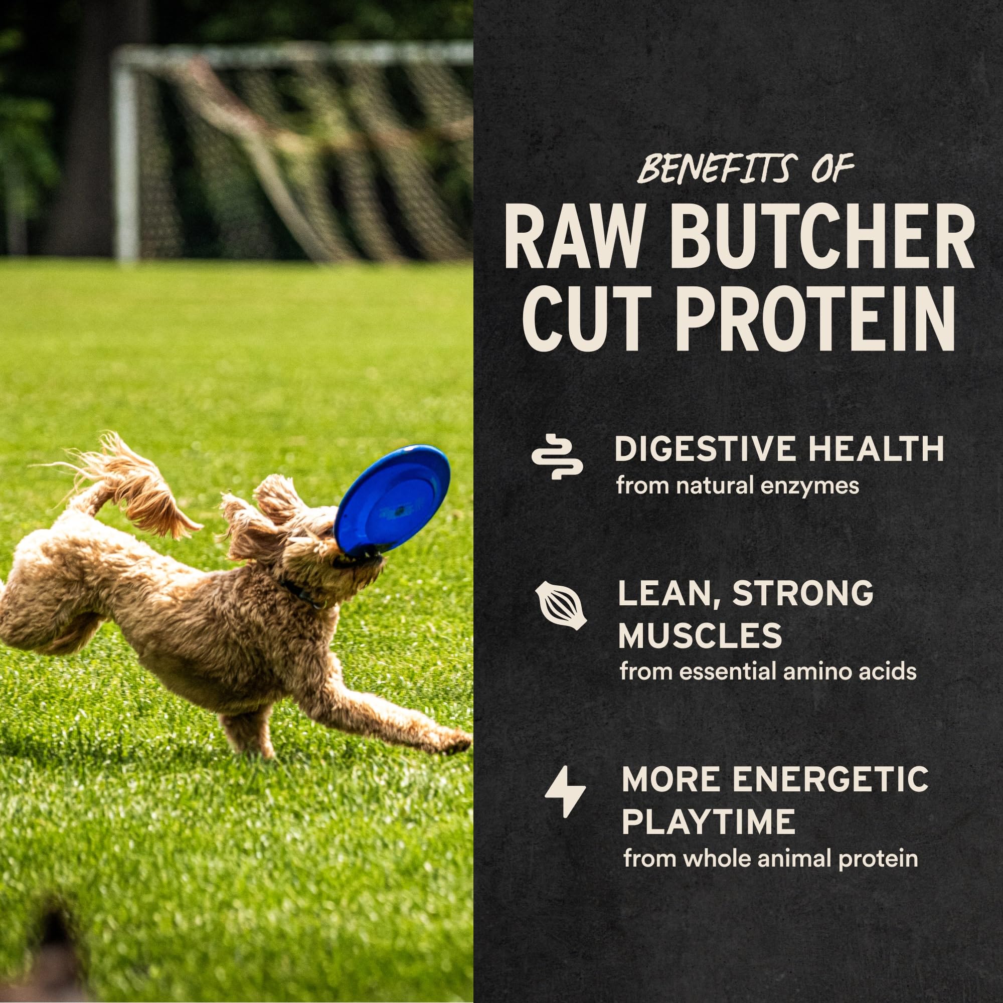 Envasado seguro mantiene frescura y nutrientes