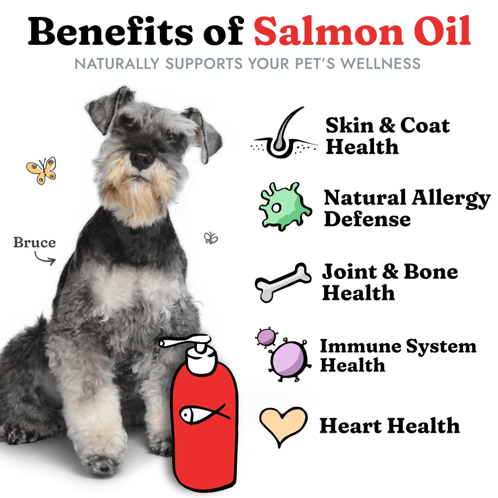 Vital Pet Life aceite de salmón, cucharada medidora para dosis diaria.