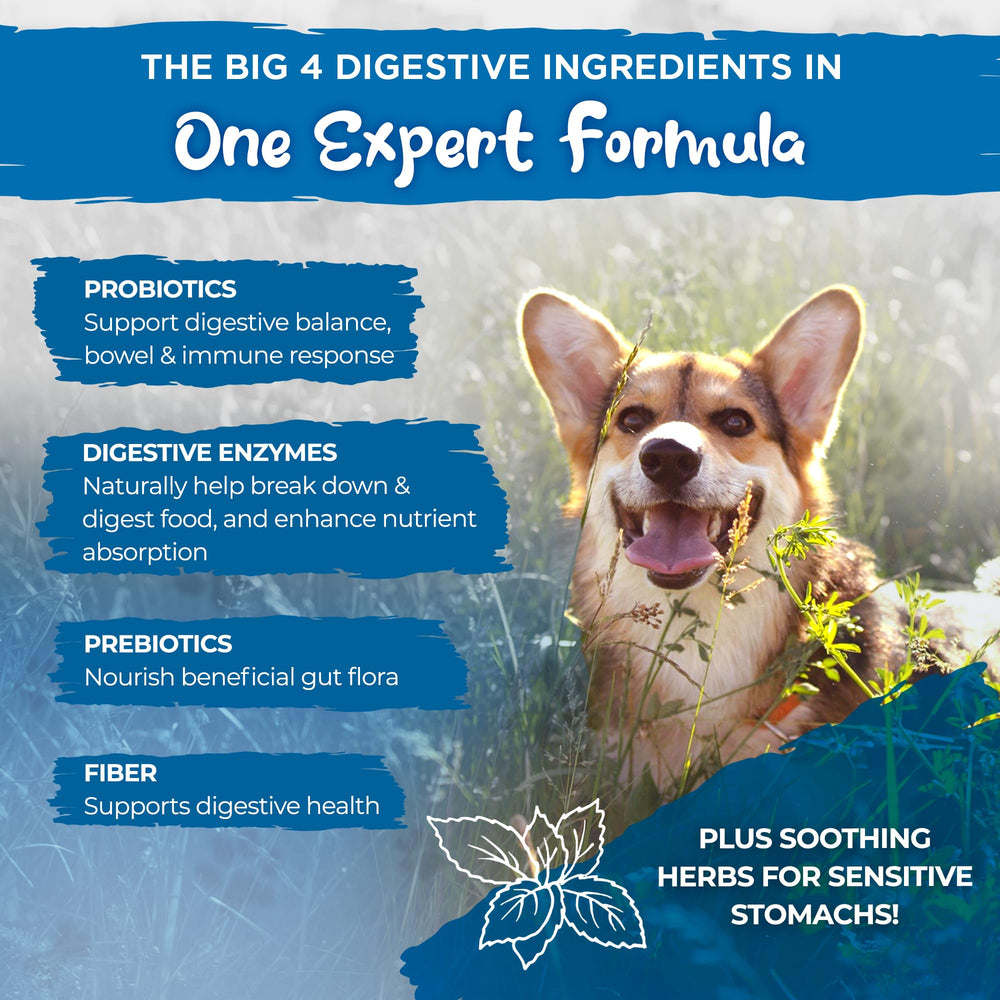 Vital Planet enzimas digestivas para perros, tabletas sabor pollo, ayudan a digestión de nutrientes