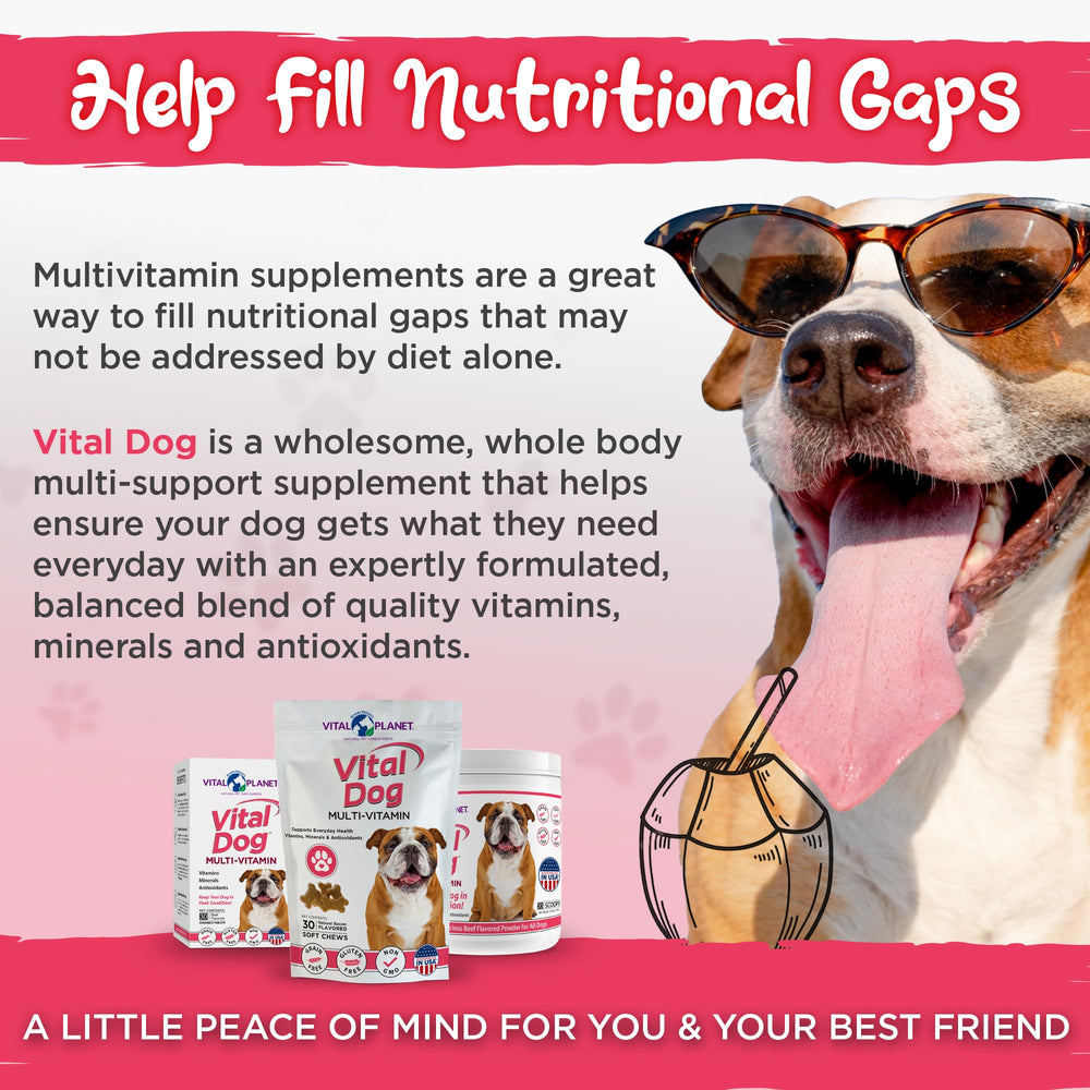 Vital Planet Vital Dog certificado cgmp garantiza calidad y seguridad.