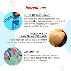 Vitalize Alimend K9 pelaje saludable, apoyo nutricional.